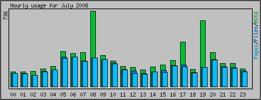 Hourly usage