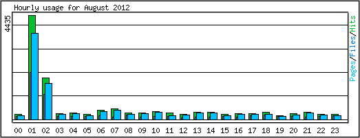 Hourly usage