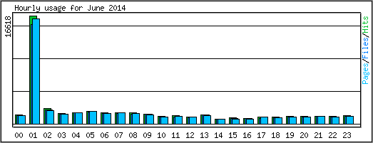 Hourly usage