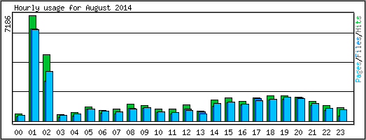 Hourly usage