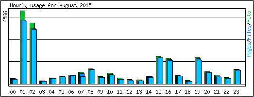 Hourly usage