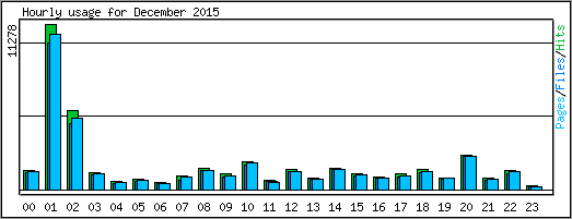 Hourly usage