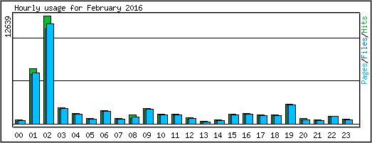 Hourly usage