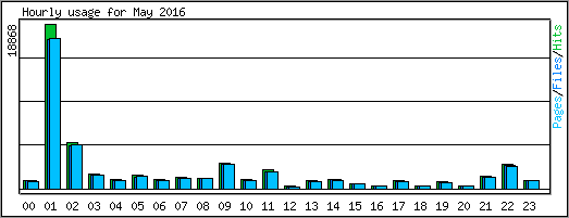 Hourly usage