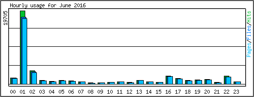 Hourly usage