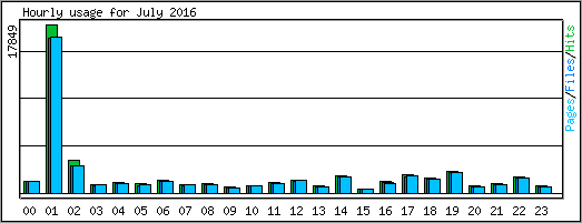 Hourly usage