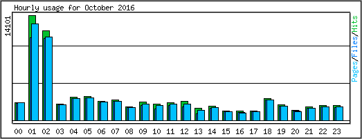 Hourly usage