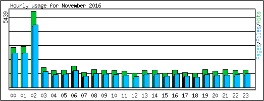 Hourly usage