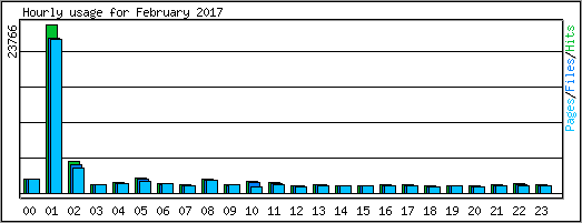 Hourly usage