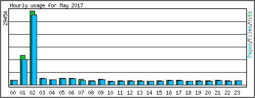 Hourly usage