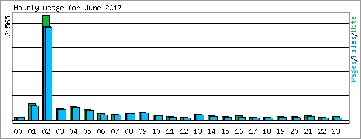 Hourly usage