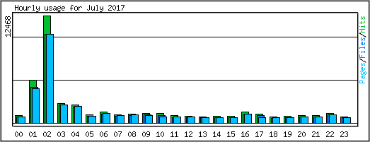 Hourly usage