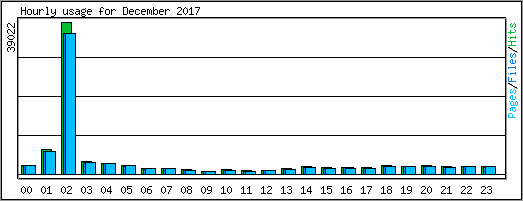 Hourly usage