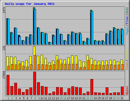 Daily usage for January 2011