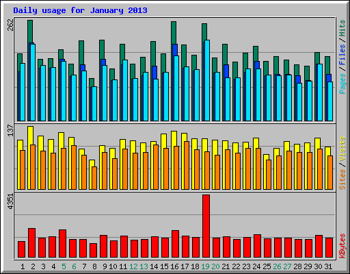 Daily usage for January 2013