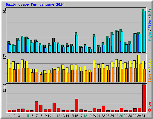 Daily usage for January 2014