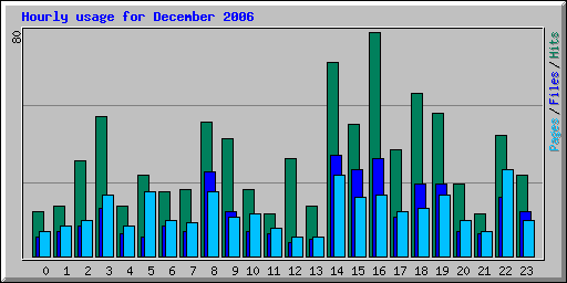 Hourly usage for December 2006