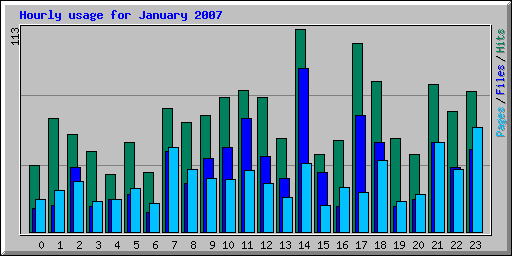 Hourly usage for January 2007