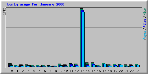 Hourly usage for January 2008