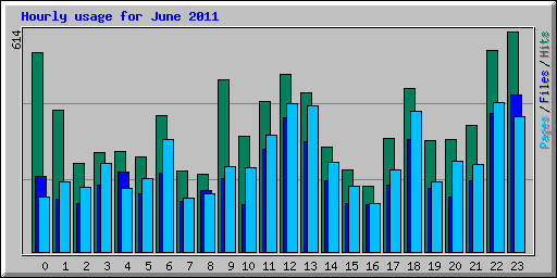 Hourly usage for June 2011