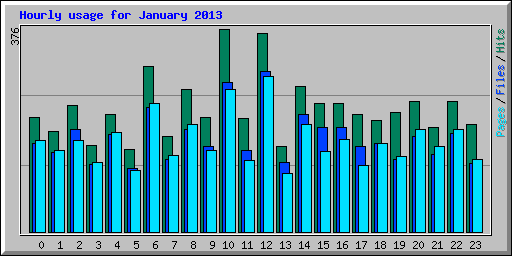 Hourly usage for January 2013