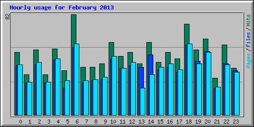 Hourly usage for February 2013