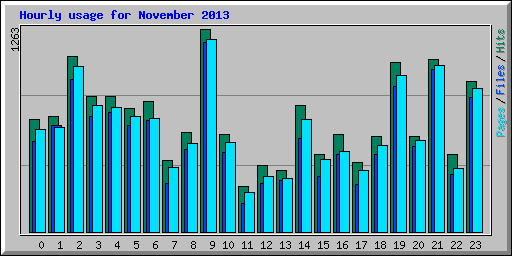 Hourly usage for November 2013