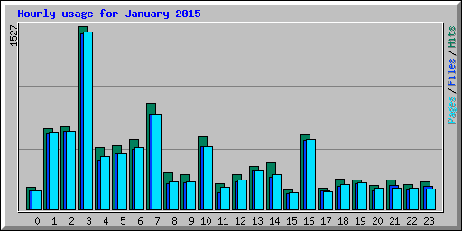 Hourly usage for January 2015