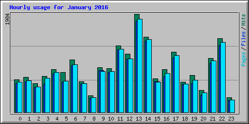 Hourly usage for January 2016