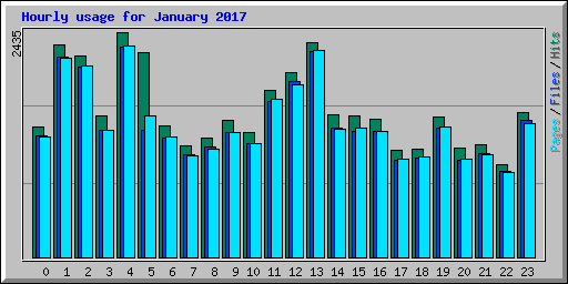 Hourly usage for January 2017